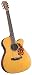 Blueridge BR-143CE Historic Mahogany 000 Guitar with Fishman Prefix Plus-T pickup