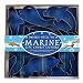 Kitchen & Housewares : Fox Run Marine Life Cookie Cutter Set