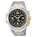 Seiko Watches- Seiko Kinetic GMT Fligt Computer Conversion Scales Computation for Navigation Men's Watch
