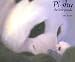 Pi-Shu: The Little Panda