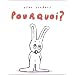 Pourquoi ?
