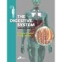 The Digestive System: Systems of the Body Series (Systems of the Body)