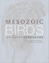 Mesozoic Birds: Above the Heads of Dinosaurs