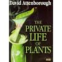 The Private Life of Plants