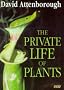 The Private Life of Plants