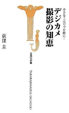 小さな工夫でプロ級に!デジカメ撮影の知恵 (宝島社新書)