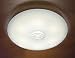 3506-6 Holtkotter Ceiling Fixture with Museum Quality OPALIKA Glass by Schott