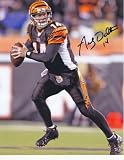 Andy Dalton Autographed Cincinnati Bengals 8x10 Photo