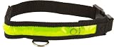 SE Illuminated Dog Collar Size Small (12