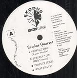 PERFECT VIBE 12 INCH (12" SINGLE) US EXODUS SOUND SYSTEM 1992