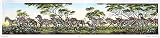 Hand-Colored Etching Zebras by Dan Mitra 11/450