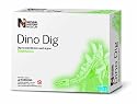 Natural History Museum Dig A Glow Dinosaur - Stegosauraus