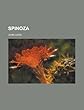 Spinoza
