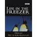 The Best PENGUIN DVD's on Amazon