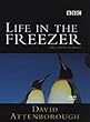David Attenborough - Life in the Freezer [DVD] [1993]