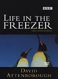 Life In The Freezer [1993]