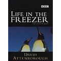 David Attenborough - Life in the Freezer [DVD] [1993]
