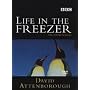 Life In The Freezer [DVD] [1993]