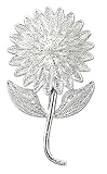Brooch, &acute; Mae Rim Flower &acute; 2 &acute; W 1 &acute; L - B00011V714