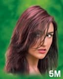 Naturtint Permanent Light Mahogany 5M