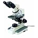 Thomas 1100100500531 Standard Brightfield Compound Binocular Microscope, Achromat Objective, 4x - 100x Magnification
