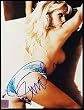 Pamela Anderson Signed 8 X 10 Photo - (Wall) Celebrities Television