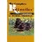 Non-Fiction Rottweiler Books