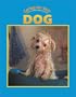 Caring for Your Dog (Caring for Your Pet series)