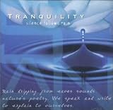 Tranquility/Silence Follows Rain