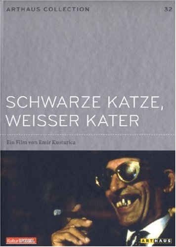 Schwarze Katze, weißer Kater
