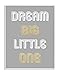 Stupell Home DÃ©cor Dream Big Little One Grey Gold White Graphic Wall Plaque Art, 10 x 0.5 x 15, Proudly Made in USA