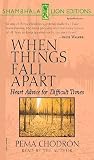 When Things Fall Apart: Heart Advice for Difficult Times