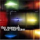 CD Cover