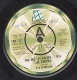 YOU ARE THE REASON 7" (45)