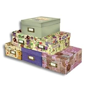 PHOTO VIDEO STORAGE BOX by Alvin