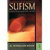 Key Concepts in the Practice of Sufism (Emerald Hills of the Heart) (Vol.3)