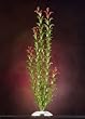 JW Pet Company Red Ludwigia 18 in XXLarge Aquarium Plant