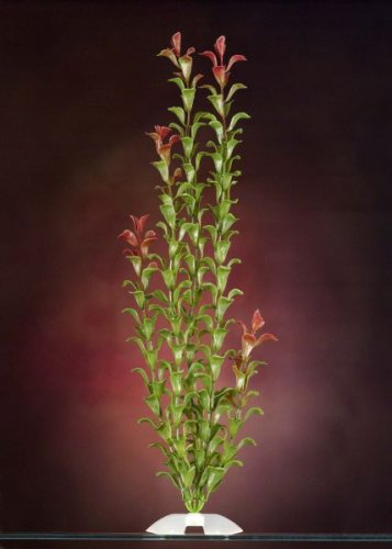 JW Pet Company Red Ludwigia 18 in XXLarge Aquarium Plant