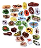 Creepy Crawlers Pre-Cut Flannelboard Figures