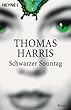 Schwarzer Sonntag: Roman