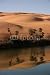 Wallmonkeys Peel and Stick Wall Decals - Mandara 2 - Removable Graphic
