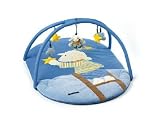 Sterntaler Discovery Gym Stella Sheep
