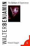Review Routledge  / Walter Benjamin: The Colour of Experience