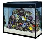 eclipse aquarium hood