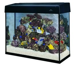 marineland 29 gallon aquarium hood