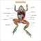 See my 100 favorite Albums (51-100)