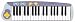 Piano Professor Digital Keyboard & Software (PC)
