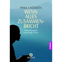 Wenn alles zusammenbricht: Hilfestellung f�r schwierige Zeiten