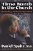 Time Bomb in the Church: Defusing Pastoral Burnout by Daniel Spaite ISBN 0834117649