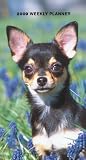 Chihuahuas 2009 Weekly Pocket Planner Calendar